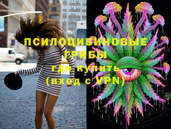 соль курить ск Няндома