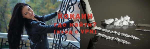 гашик Новодвинск