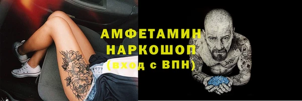 гашик Новодвинск